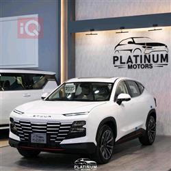 جيتور داشينج